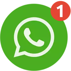 WhatsApp icon
